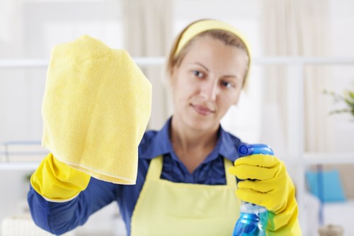 Professional deep cleaning in SW5 for a spotless home interior