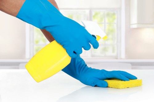 Professional carpet cleaning terms and conditions document