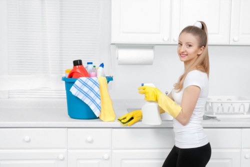 Domestic and office cleaning services in SW5