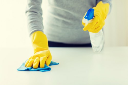 Complaint details being recorded for a carpet cleaning service investigation