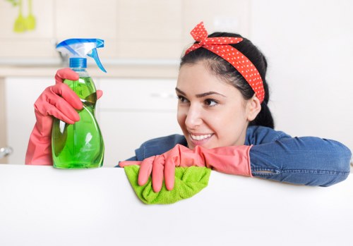 Oven cleaning service in SW5 polishing oven glass and exterior surfaces