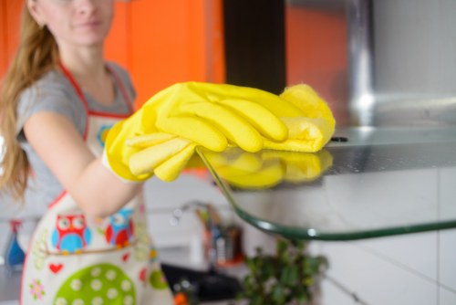Close-up of upholstery cleaning tools used in SW5 homes